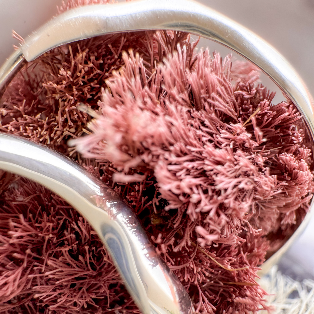 Silver Nesoi hoop earrings closeup with seaweed