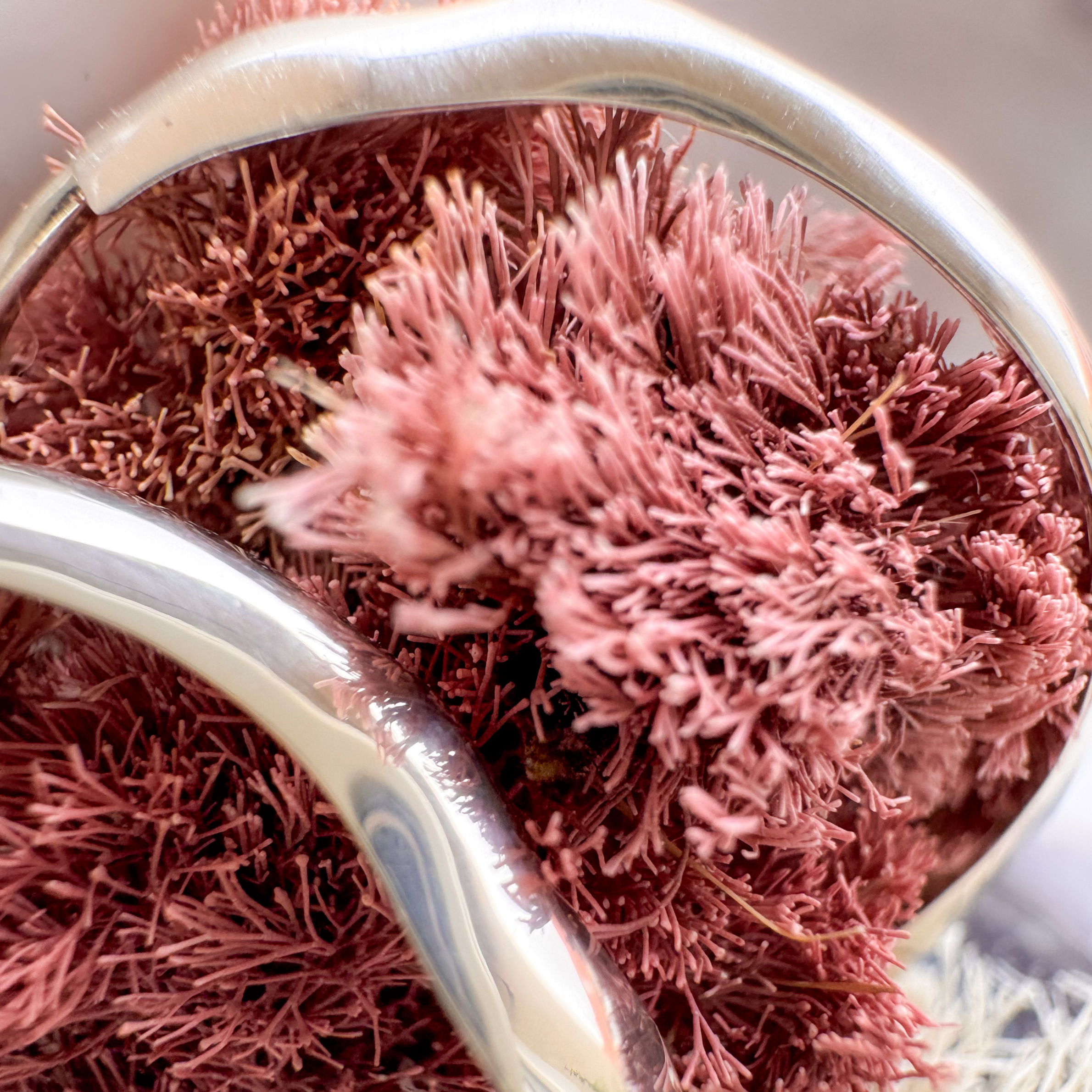 Silver Nesoi hoop earrings closeup with seaweed