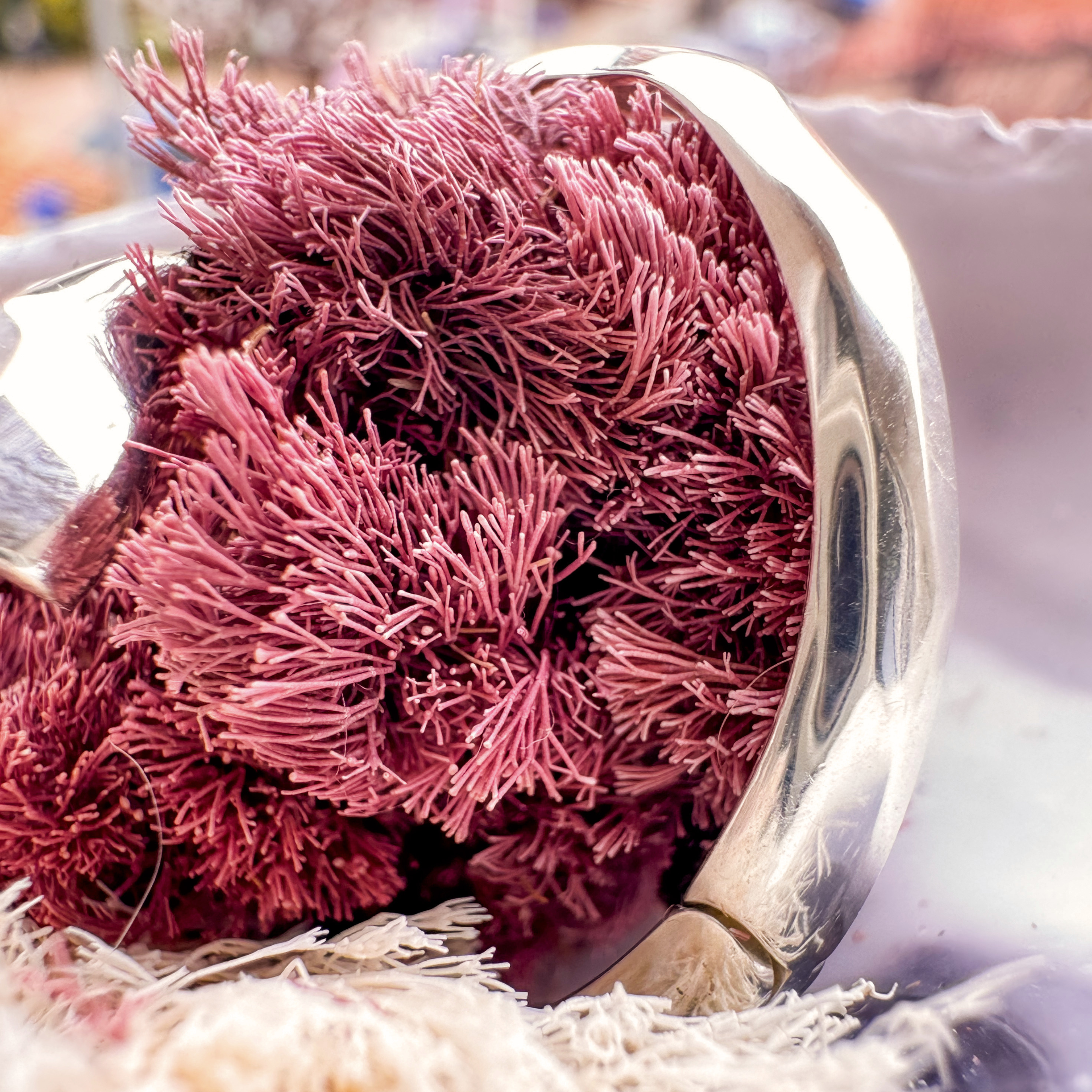 Silver Nesoi hoop earrings closeup with seaweed