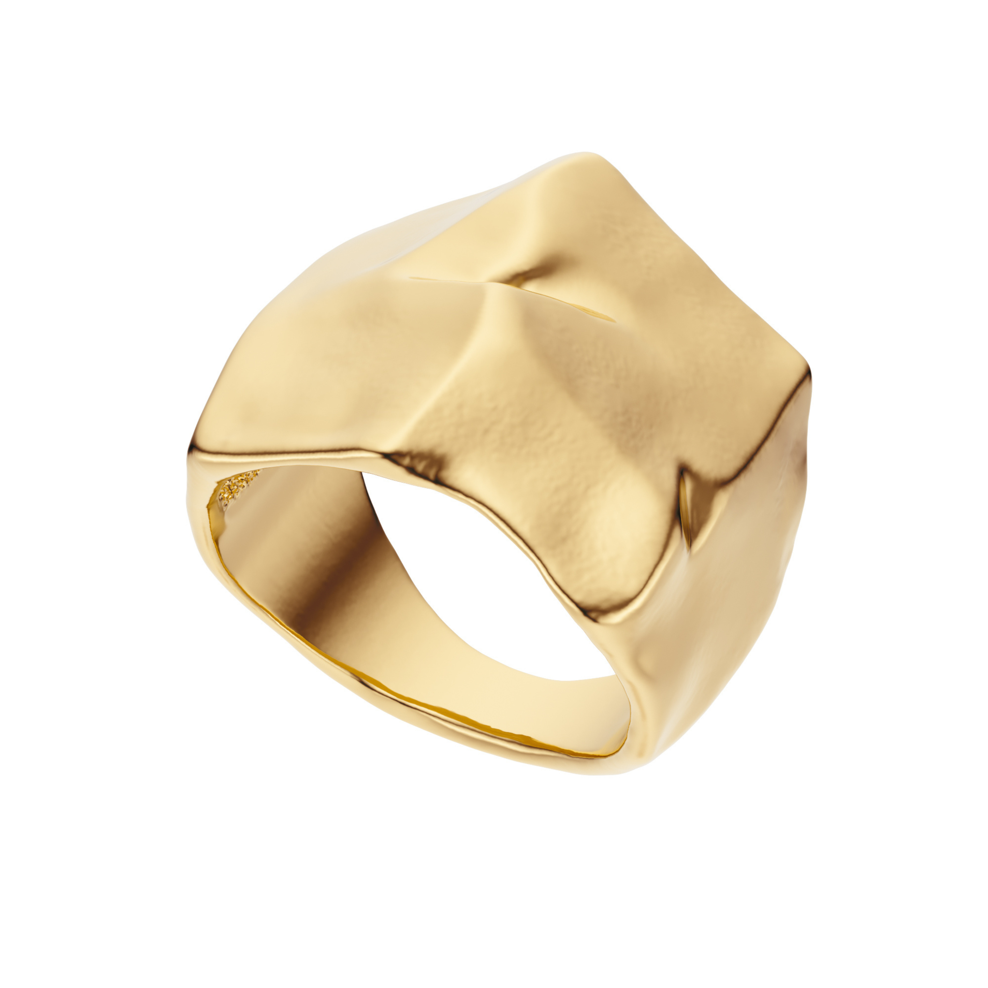 Ourea ring - gold signet with a unique, organic design
