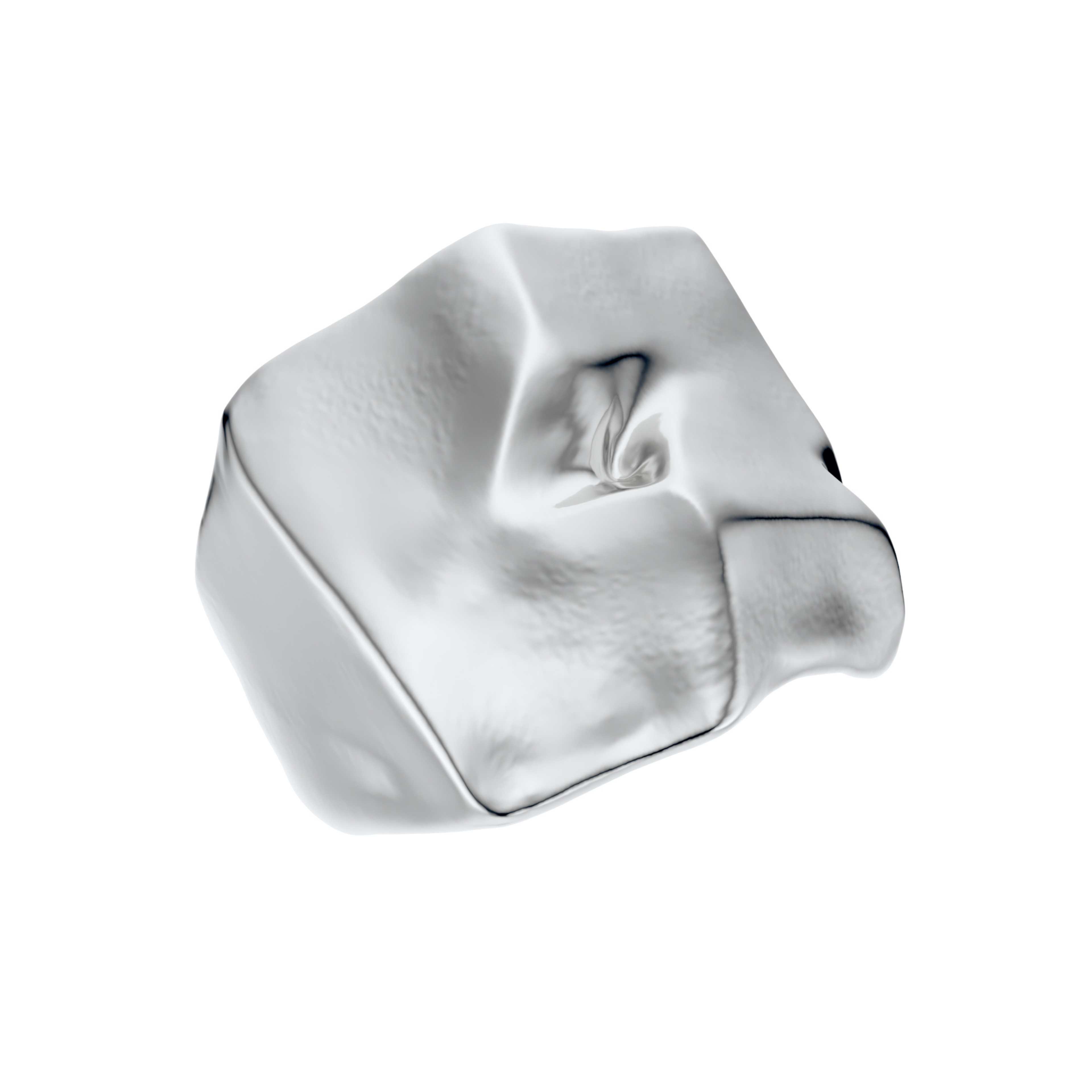 Ourea ring - silver signet with a unique, organic design